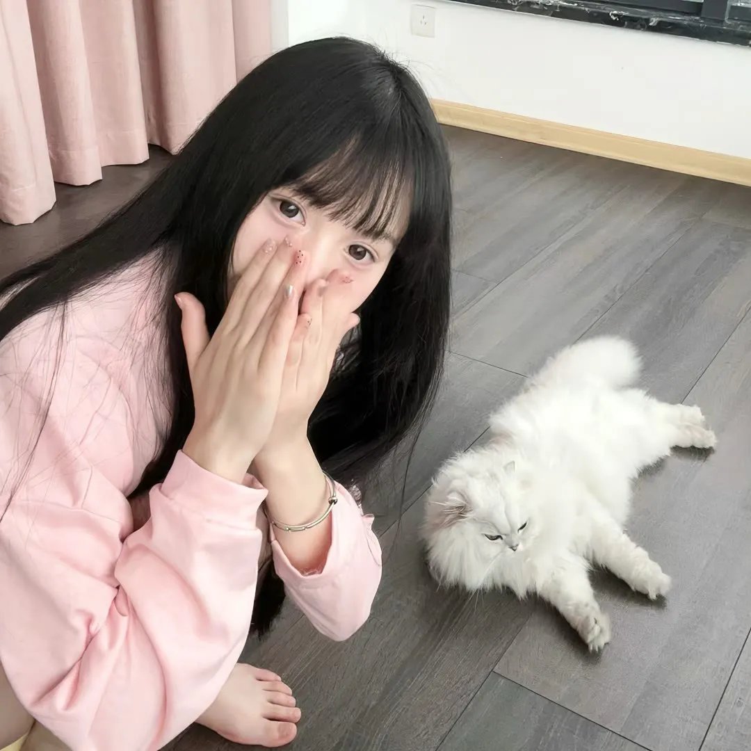 变身侠阿奔第一季