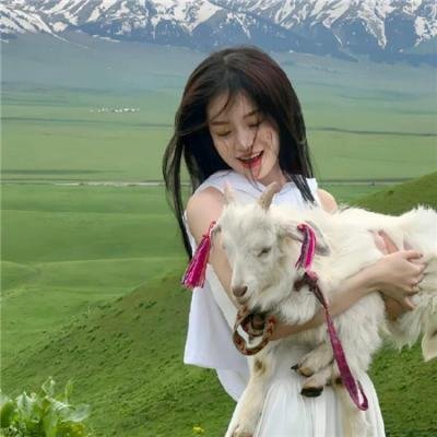 顾医生你老婆又去杀猪啦